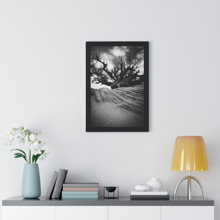 Desert Reach in Black and White - Framed Print - Visiting This World