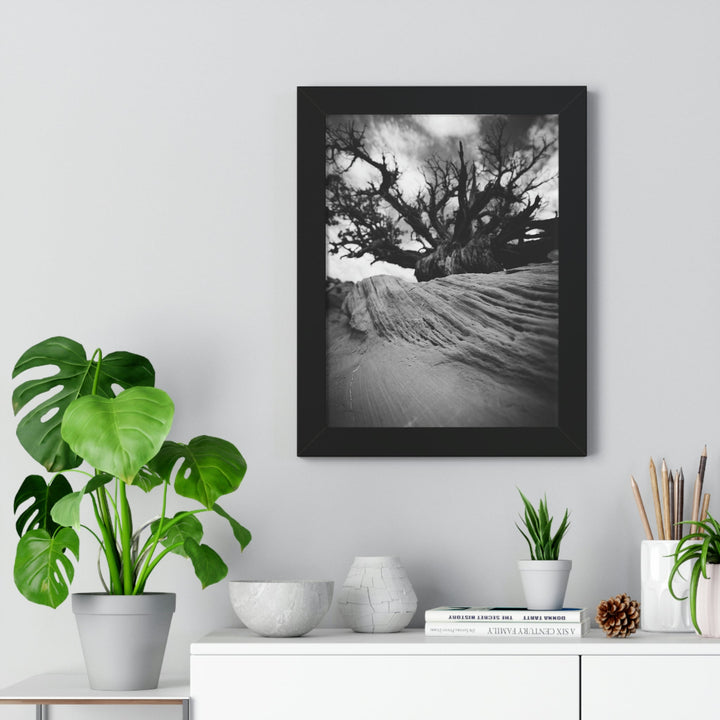 Desert Reach in Black and White - Framed Print - Visiting This World