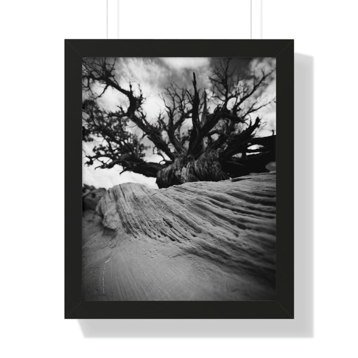 Desert Reach in Black and White - Framed Print - Visiting This World