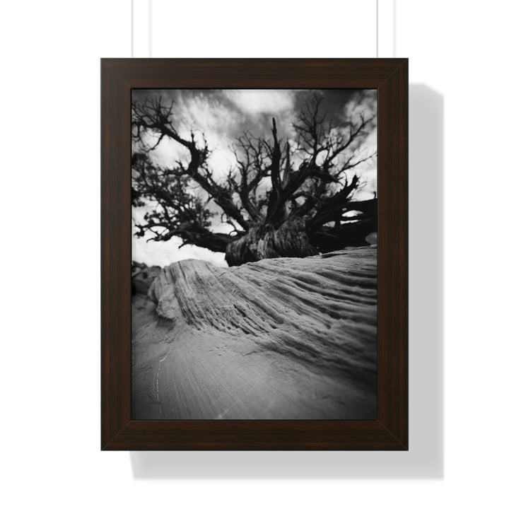 Desert Reach in Black and White - Framed Print - Visiting This World