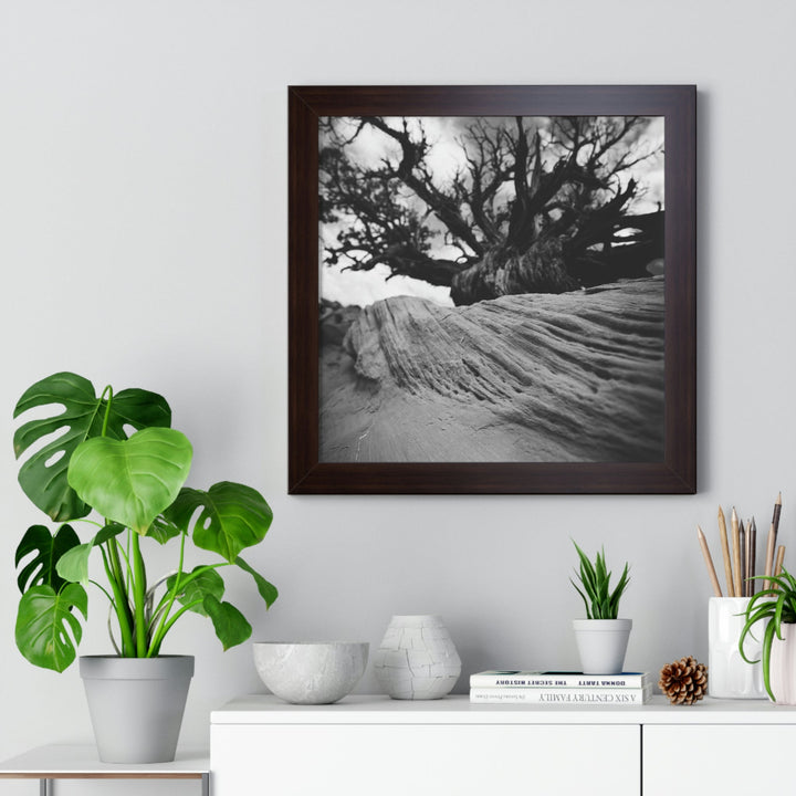 Desert Reach in Black and White - Framed Print - Visiting This World