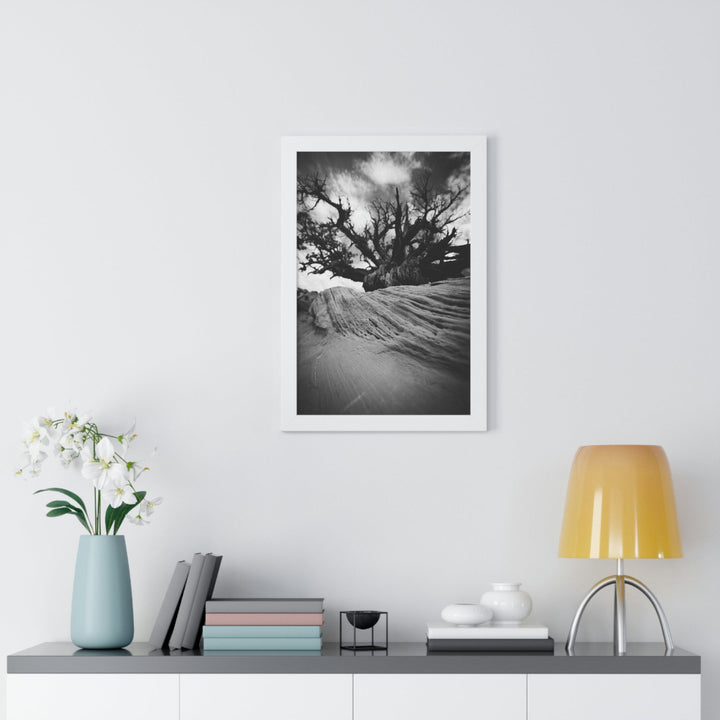 Desert Reach in Black and White - Framed Print - Visiting This World