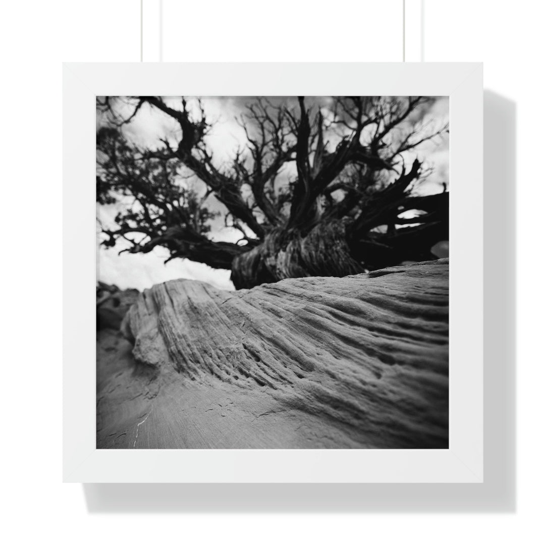 Desert Reach in Black and White - Framed Print - Visiting This World