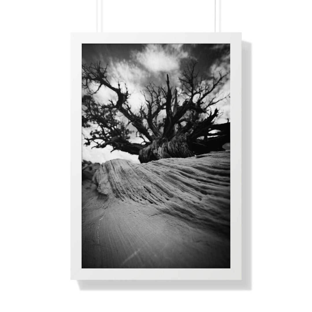 Desert Reach in Black and White - Framed Print - Visiting This World