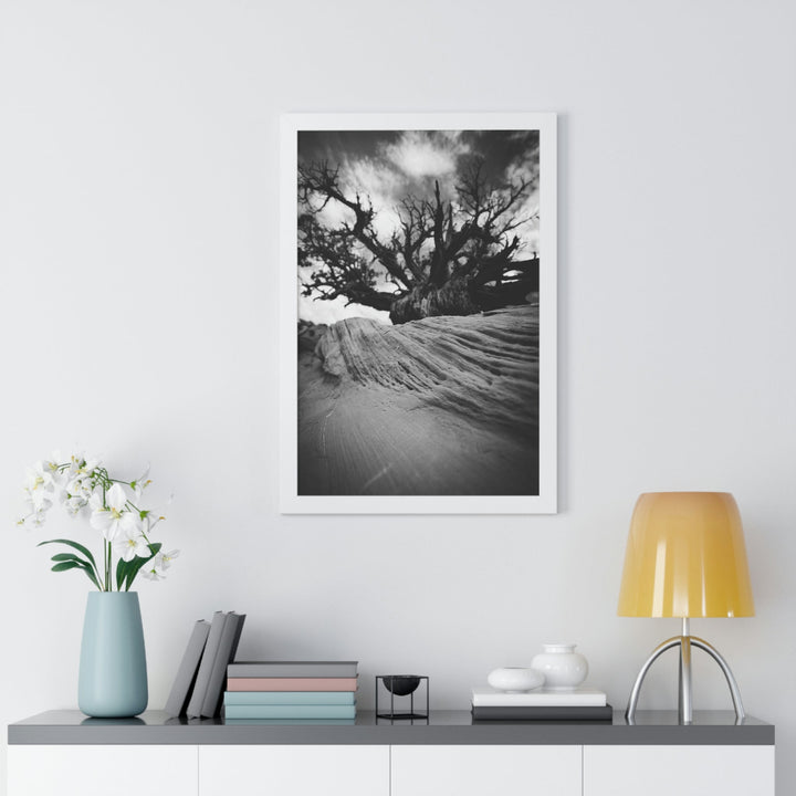 Desert Reach in Black and White - Framed Print - Visiting This World