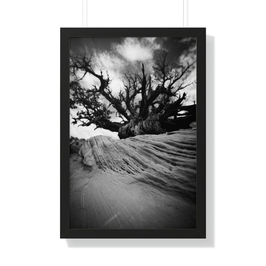 Desert Reach in Black and White - Framed Print - Visiting This World