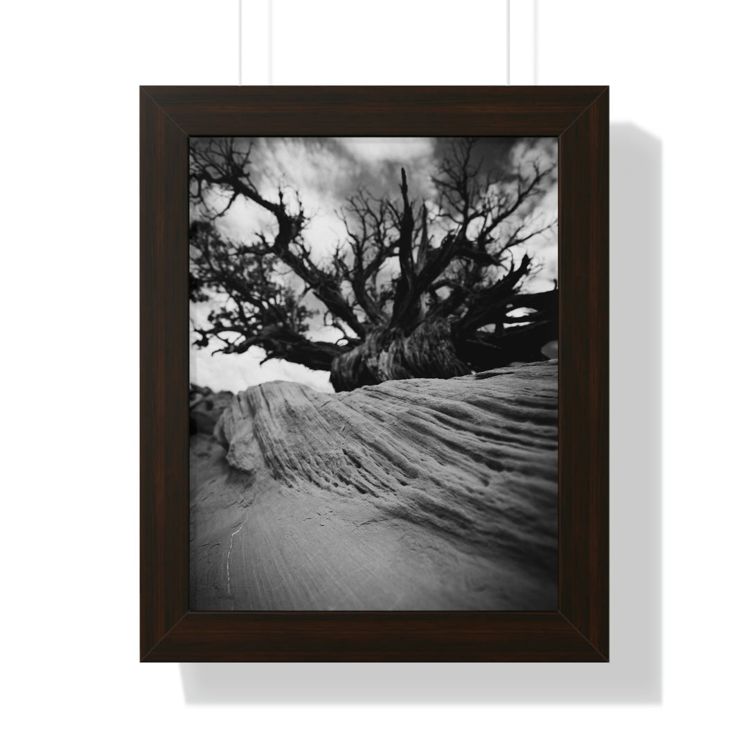 Desert Reach in Black and White - Framed Print - Visiting This World