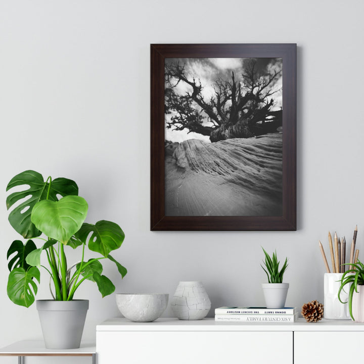 Desert Reach in Black and White - Framed Print - Visiting This World