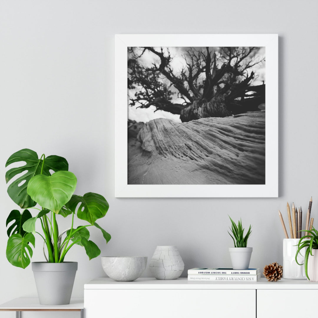 Desert Reach in Black and White - Framed Print - Visiting This World