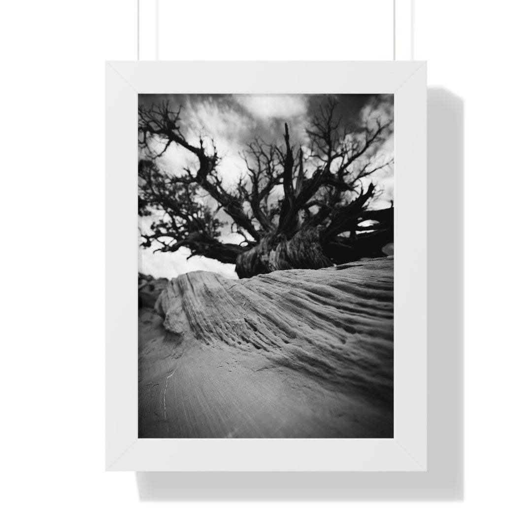 Desert Reach in Black and White - Framed Print - Visiting This World