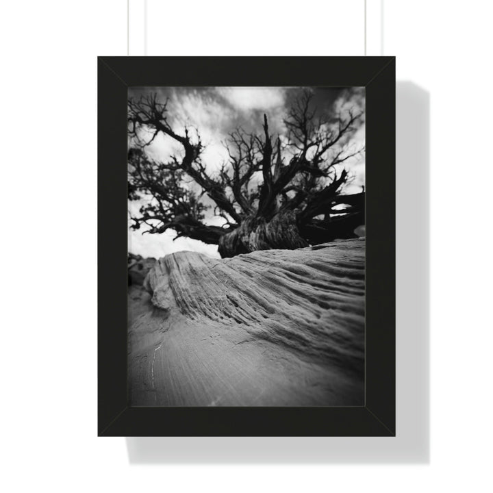 Desert Reach in Black and White - Framed Print - Visiting This World