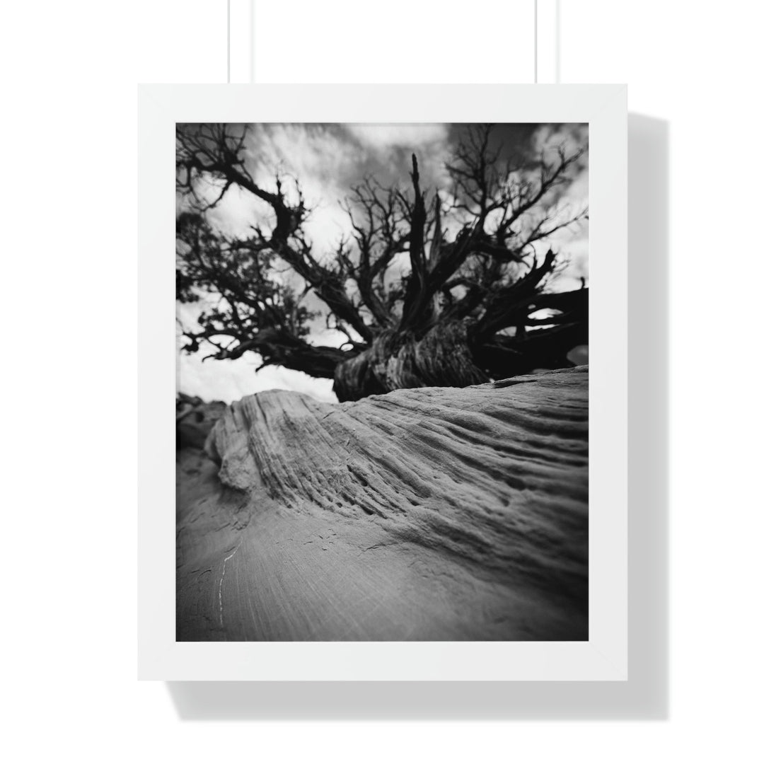 Desert Reach in Black and White - Framed Print - Visiting This World