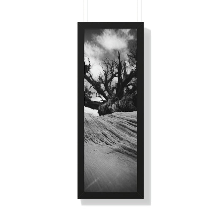 Desert Reach in Black and White - Framed Print - Visiting This World