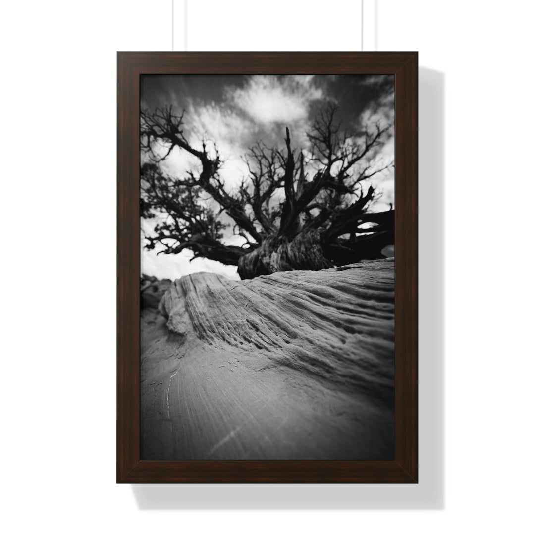 Desert Reach in Black and White - Framed Print - Visiting This World