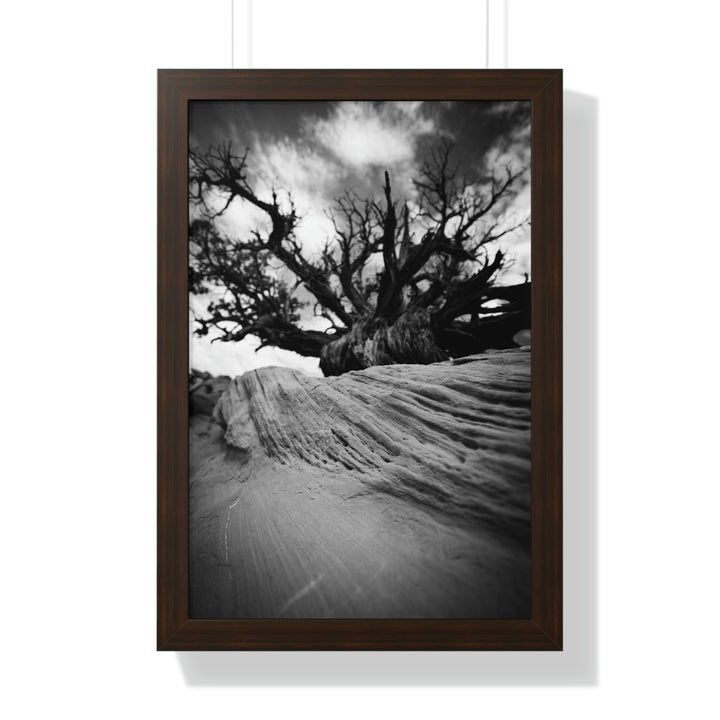 Desert Reach in Black and White - Framed Print - Visiting This World