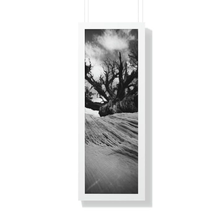 Desert Reach in Black and White - Framed Print - Visiting This World