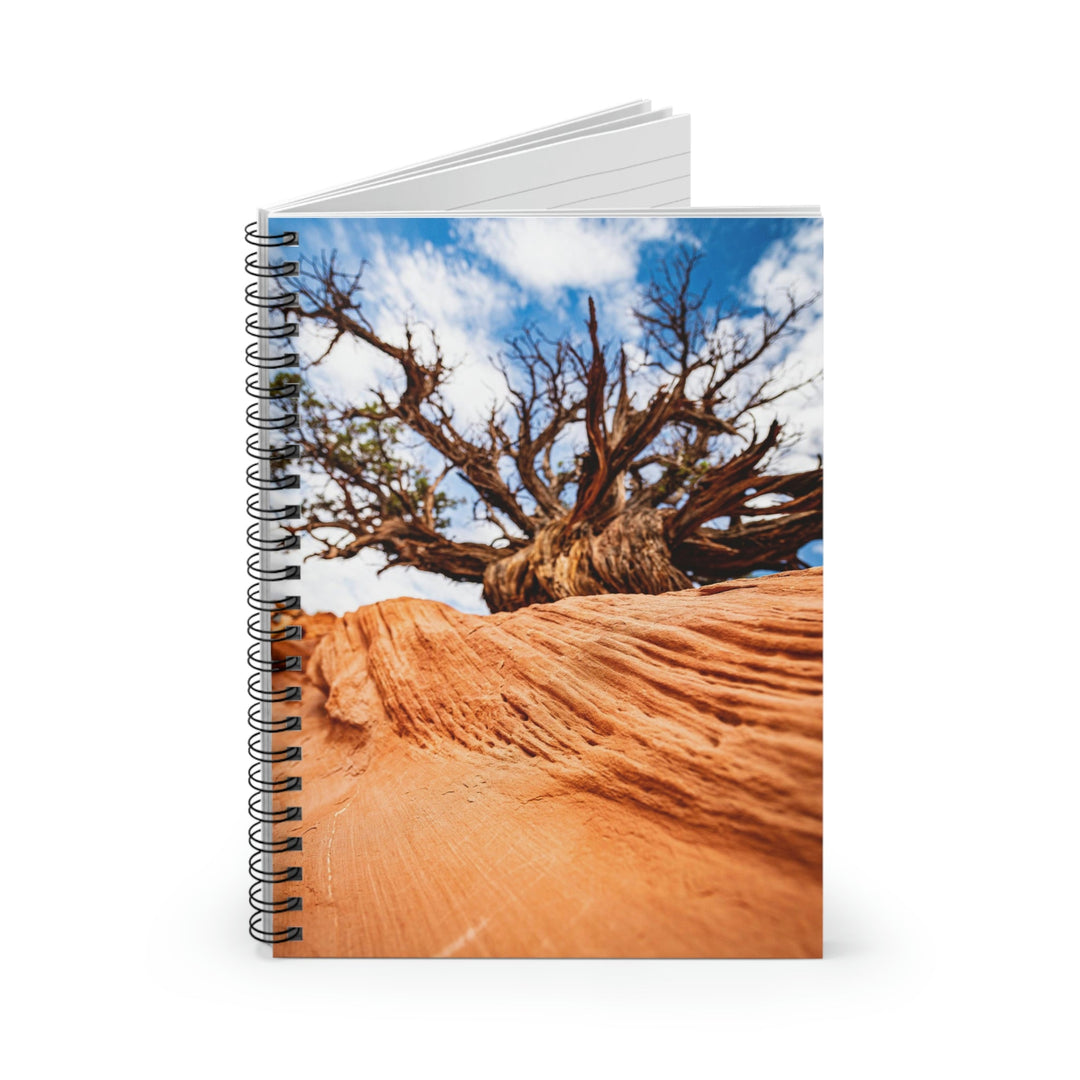 Desert Reach - Spiral Ruled Line Notebook - Visiting This World