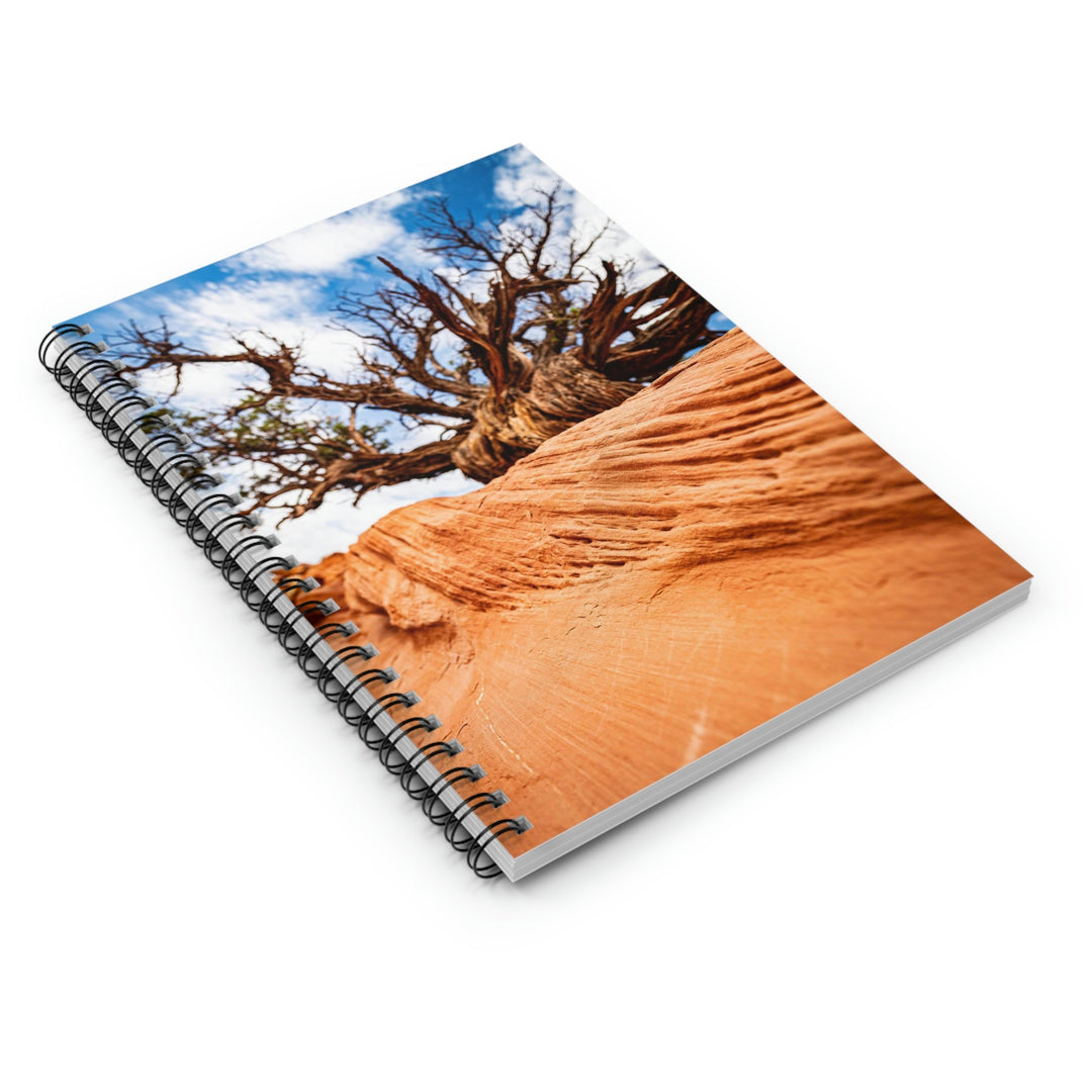 Desert Reach - Spiral Ruled Line Notebook - Visiting This World