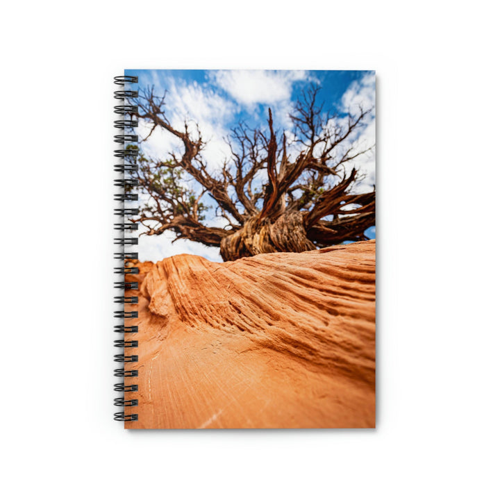 Desert Reach - Spiral Ruled Line Notebook - Visiting This World