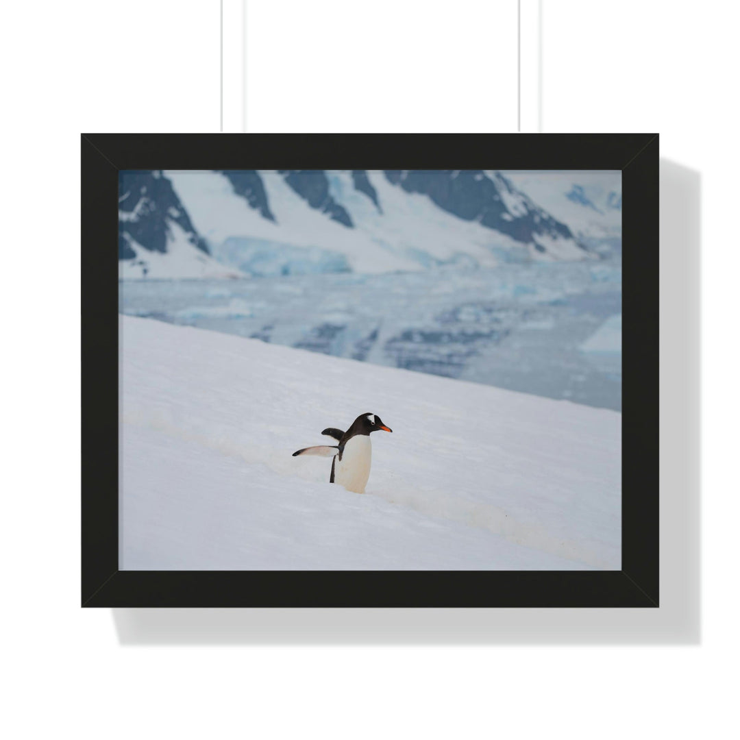 Determined March - Framed Print - Visiting This World