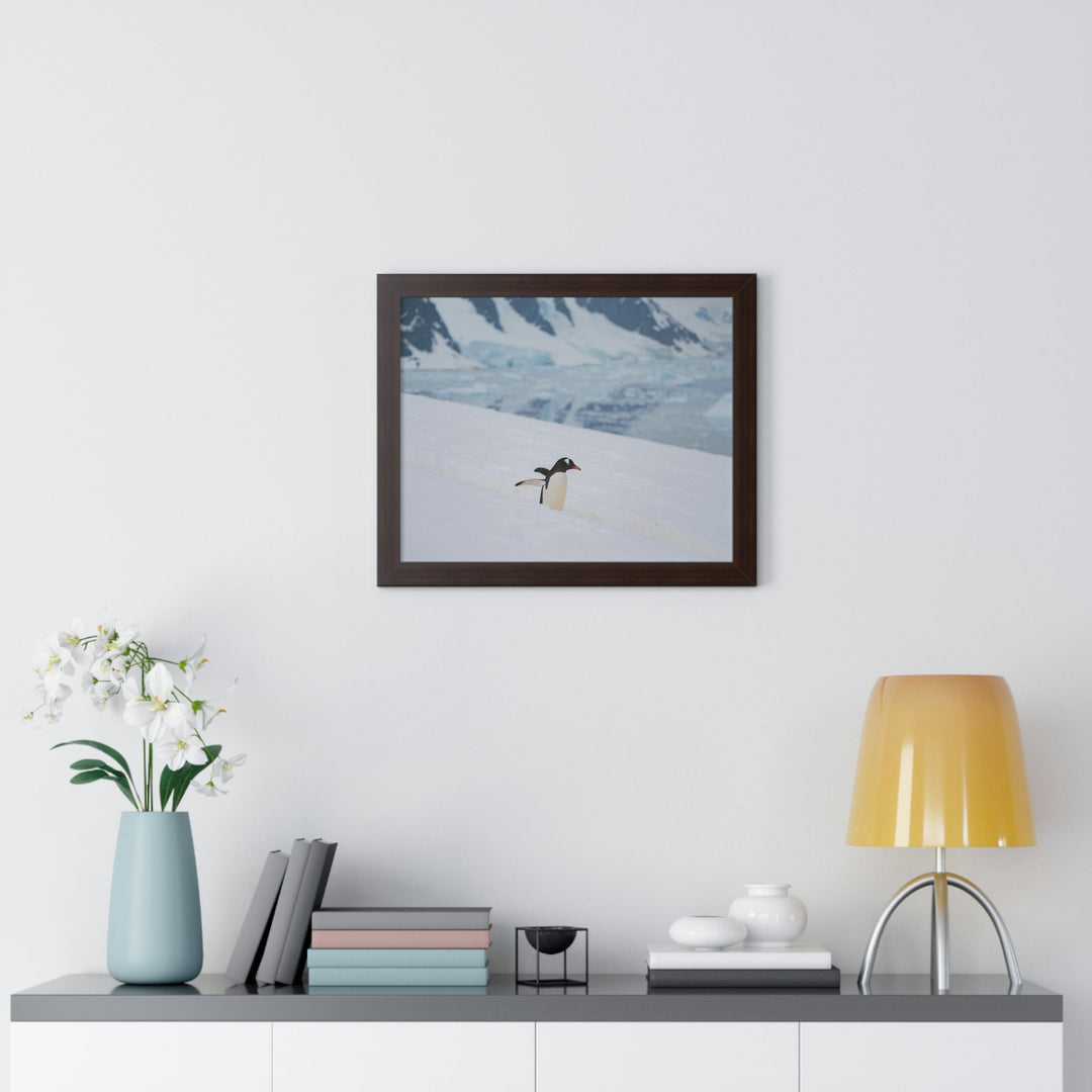 Determined March - Framed Print - Visiting This World