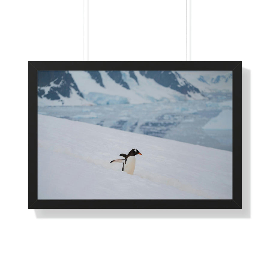 Determined March - Framed Print - Visiting This World