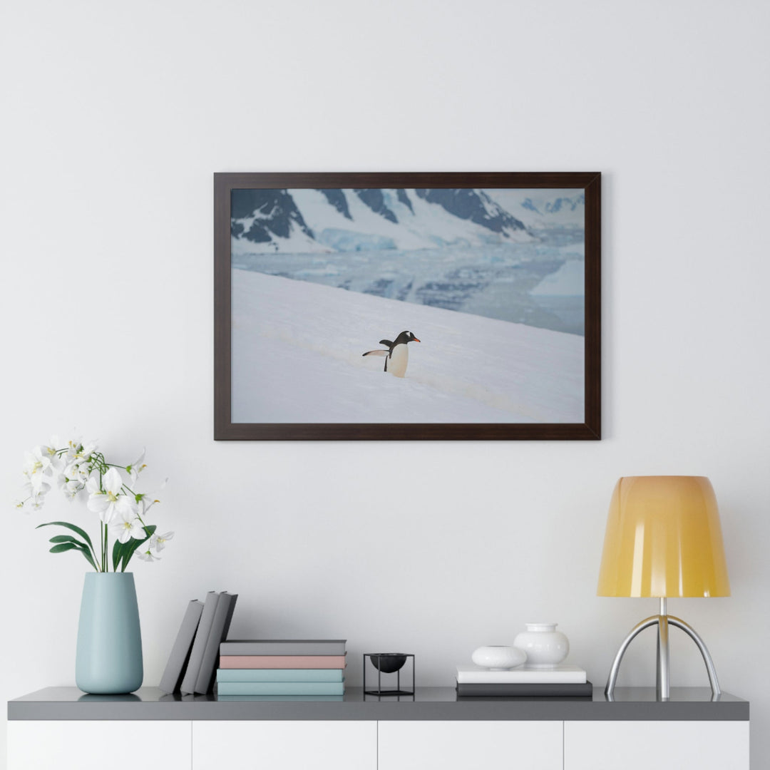 Determined March - Framed Print - Visiting This World