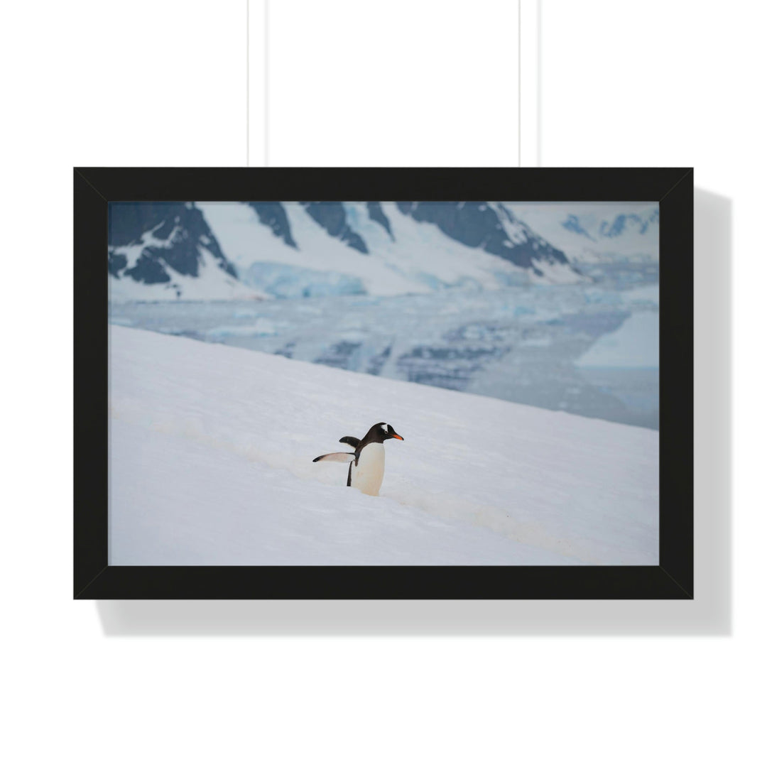 Determined March - Framed Print - Visiting This World