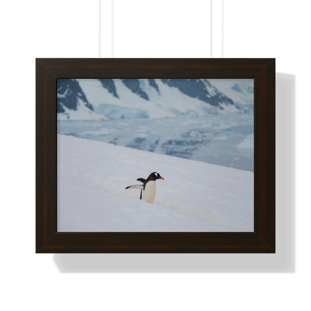 Determined March - Framed Print - Visiting This World