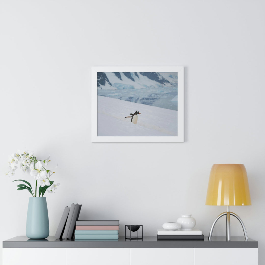 Determined March - Framed Print - Visiting This World