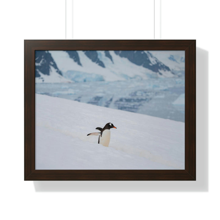 Determined March - Framed Print - Visiting This World