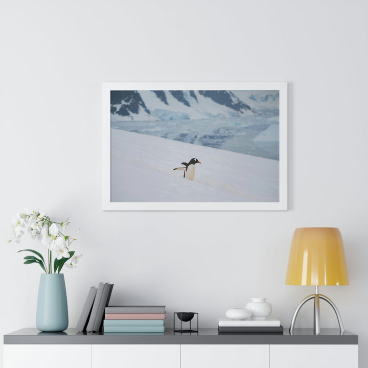 Determined March - Framed Print - Visiting This World