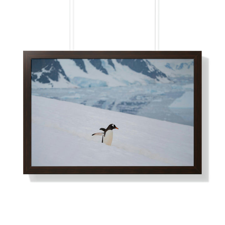 Determined March - Framed Print - Visiting This World