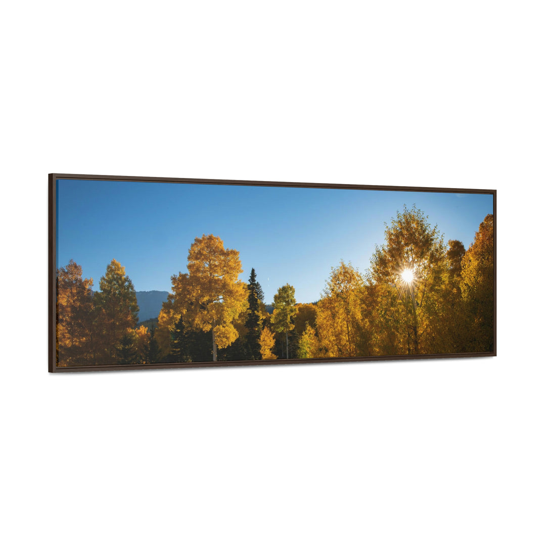 Sun Through the Aspens - Canvas with Frame