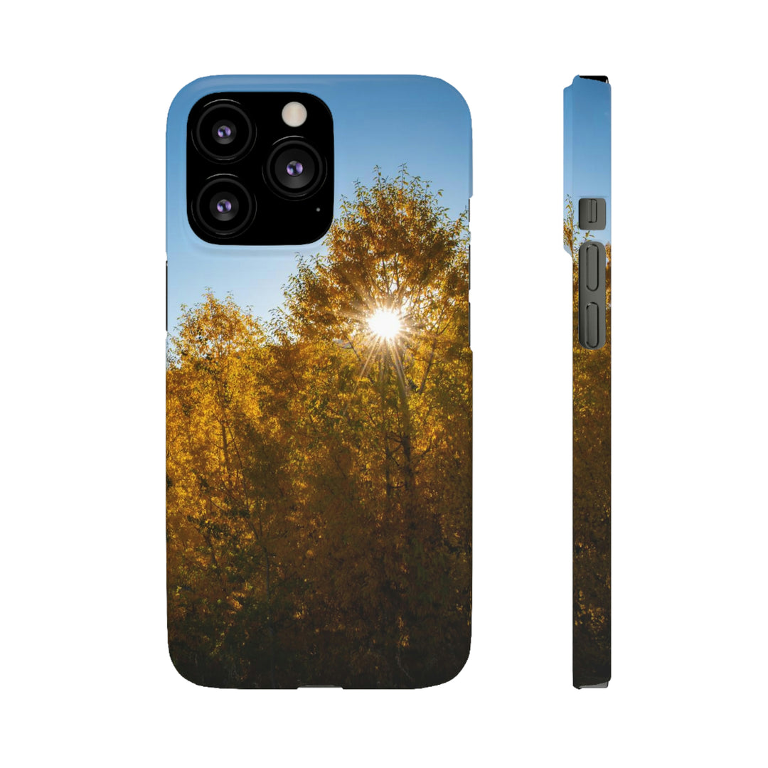 Sun Through the Aspens - Phone Case