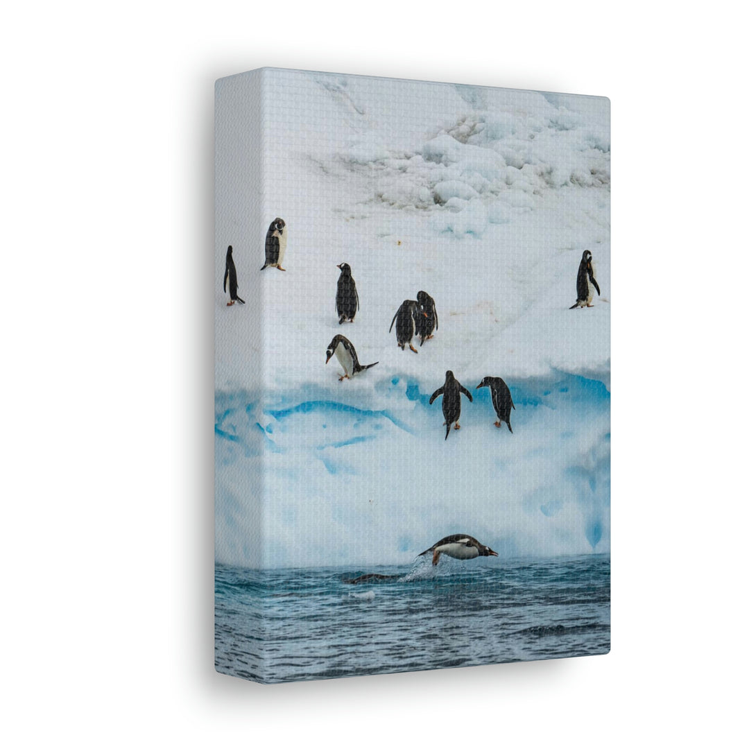 Porpoising Penguin - Canvas