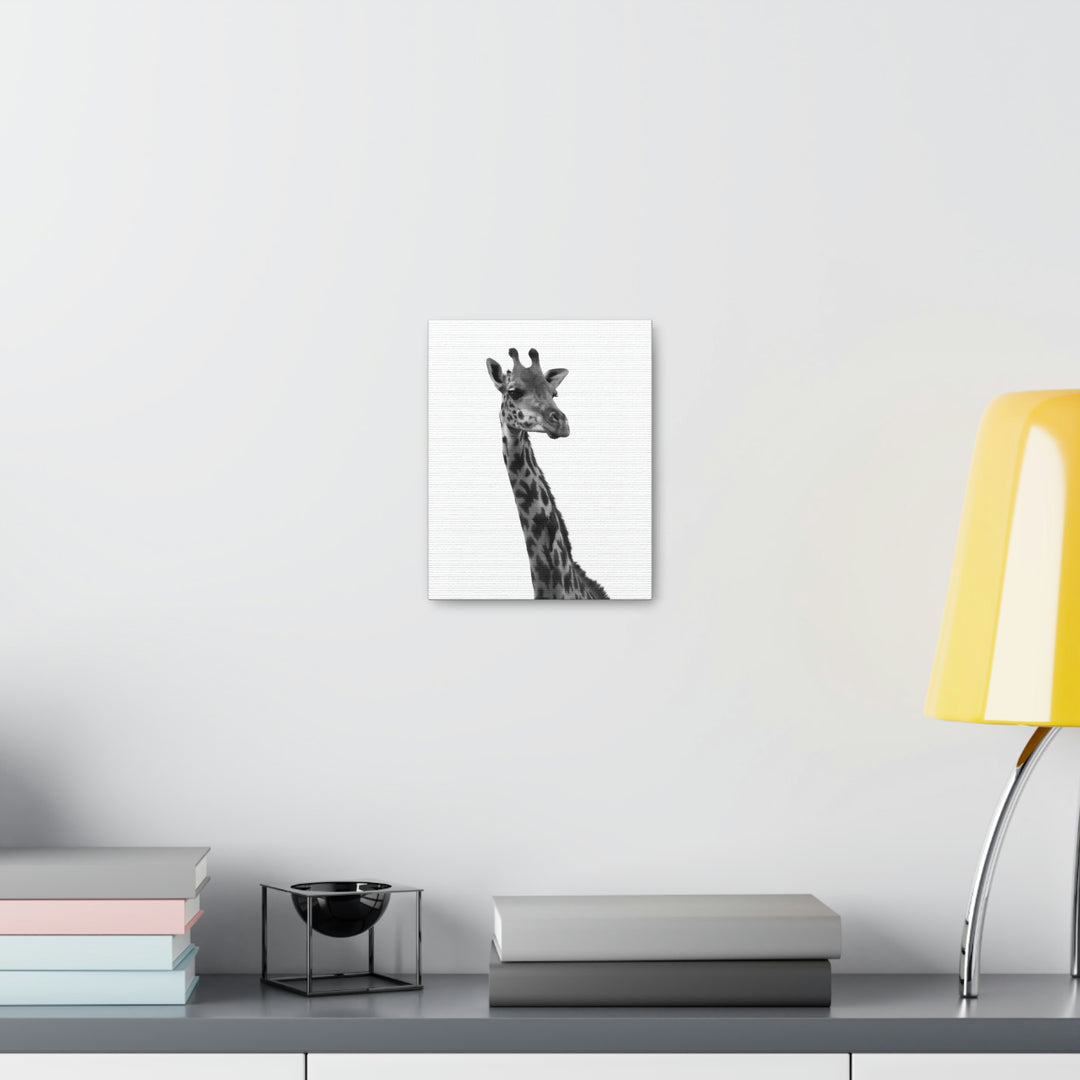 Giraffe Portrait in Black and White  - Canvas