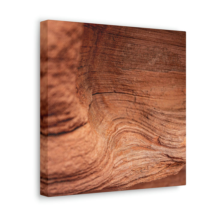 Sedimentary Rock Curves - Canvas