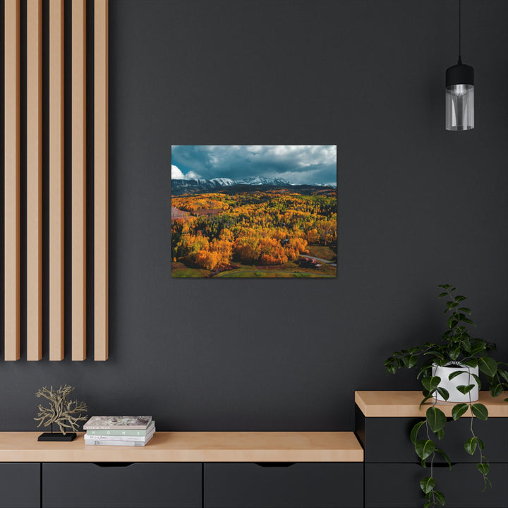 Golds of Autumn - Canvas