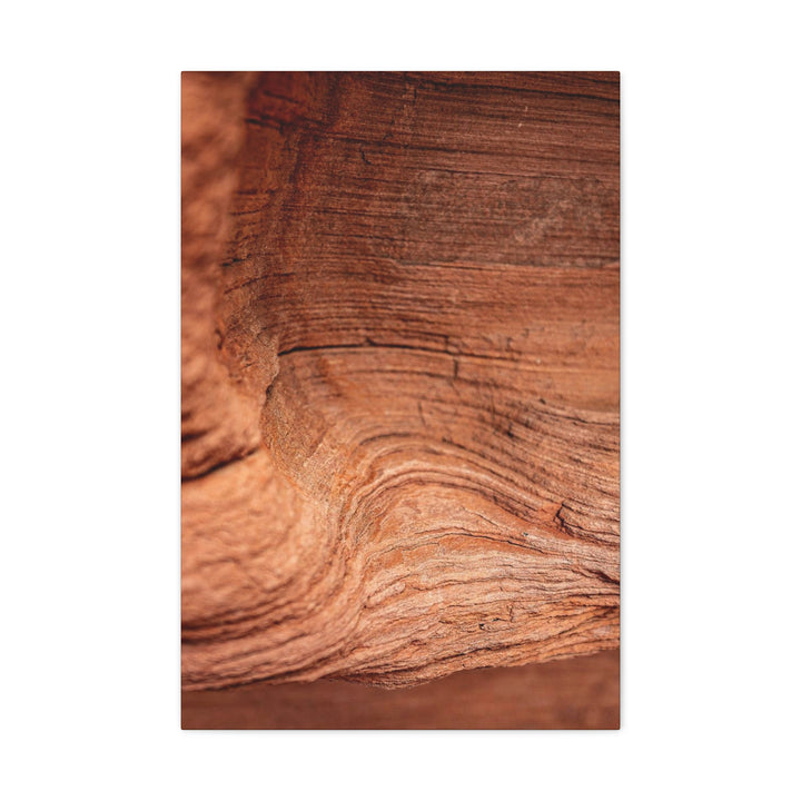 Sedimentary Rock Curves - Canvas