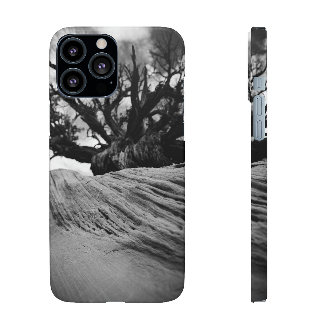 Desert Reach in Black and White - Phone Case