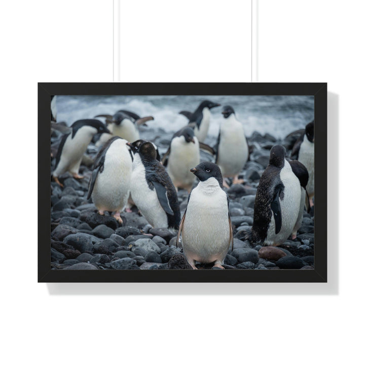 Drying Out - Framed Print - Visiting This World