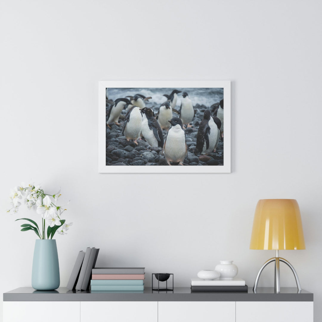 Drying Out - Framed Print - Visiting This World