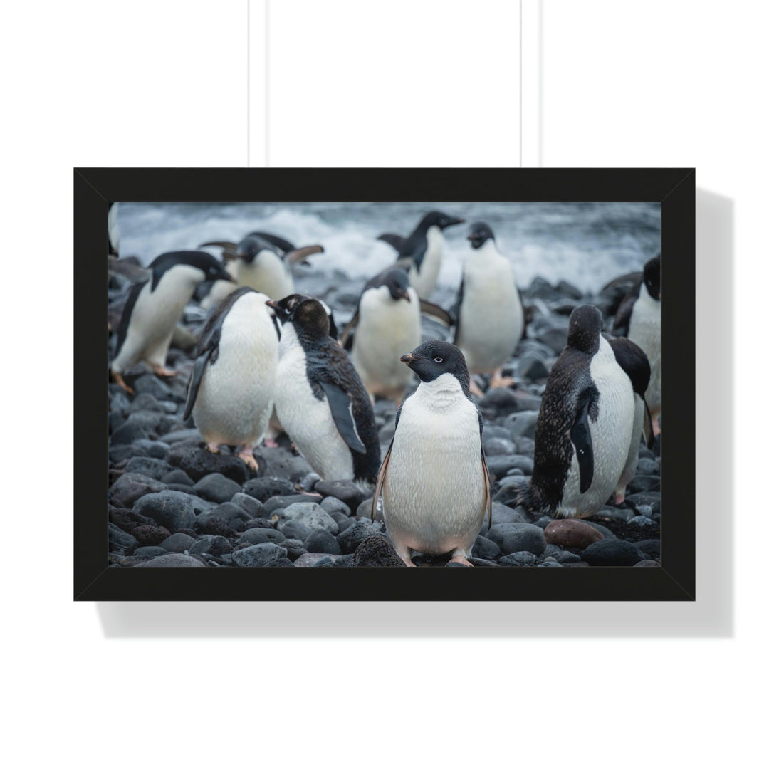 Drying Out - Framed Print - Visiting This World