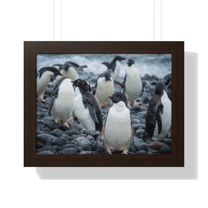 Drying Out - Framed Print - Visiting This World