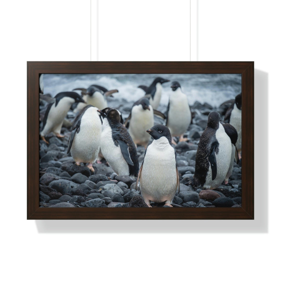 Drying Out - Framed Print - Visiting This World