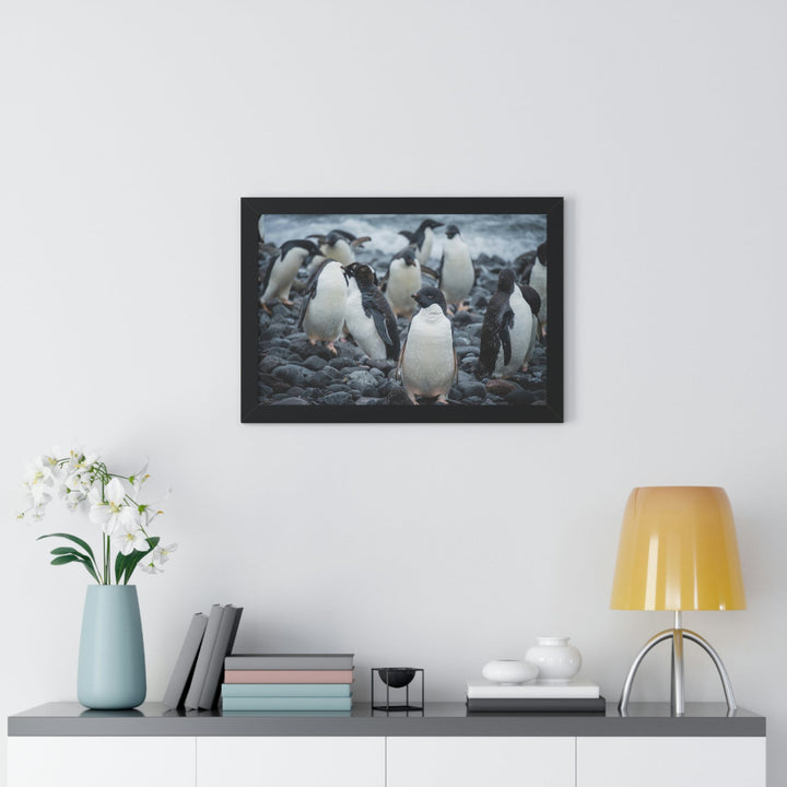 Drying Out - Framed Print - Visiting This World