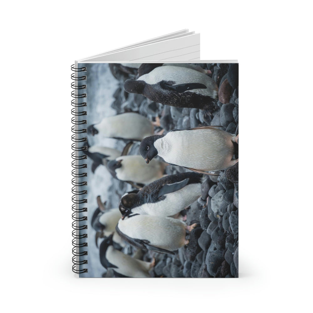 Drying Out - Spiral Ruled Line Notebook - Visiting This World