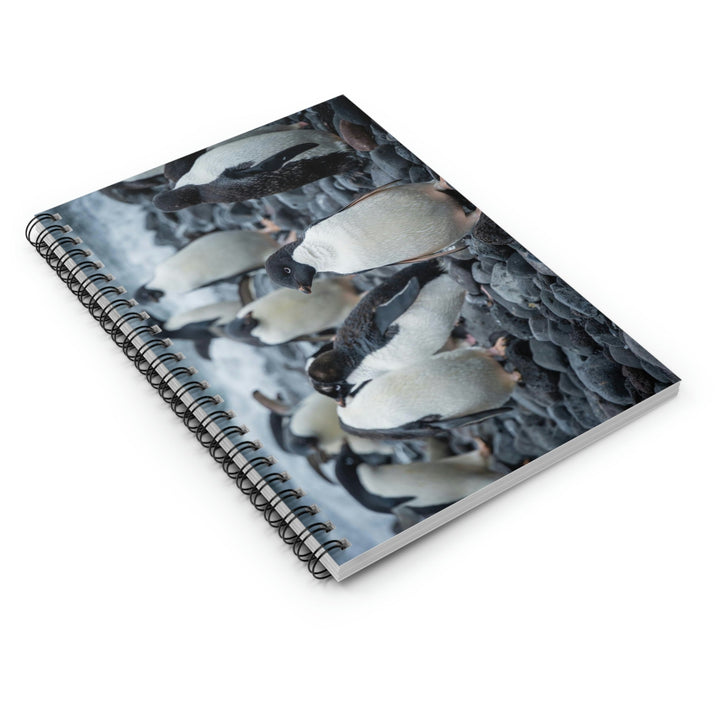 Drying Out - Spiral Ruled Line Notebook - Visiting This World