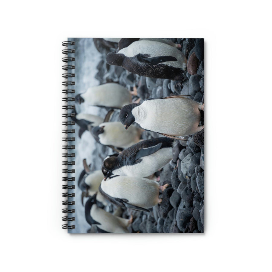 Drying Out - Spiral Ruled Line Notebook - Visiting This World